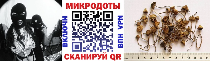 darknet официальный сайт  Отрадный  Псилоцибиновые грибы мухоморы 